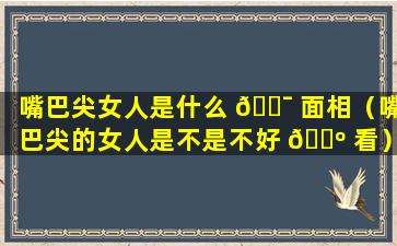 嘴巴尖女人是什么 🐯 面相（嘴巴尖的女人是不是不好 🌺 看）